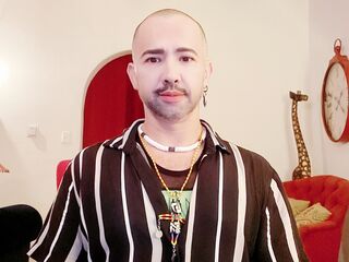 thehealingbear